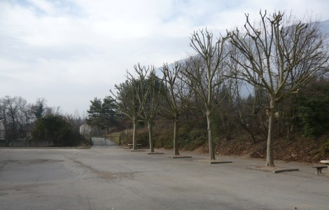 Elagage2
